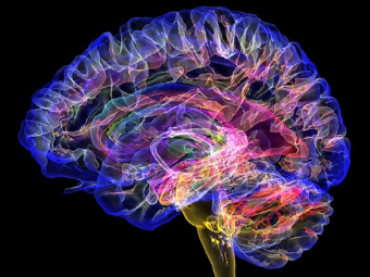 浪逼狂肏福利视频大脑植入物有助于严重头部损伤恢复